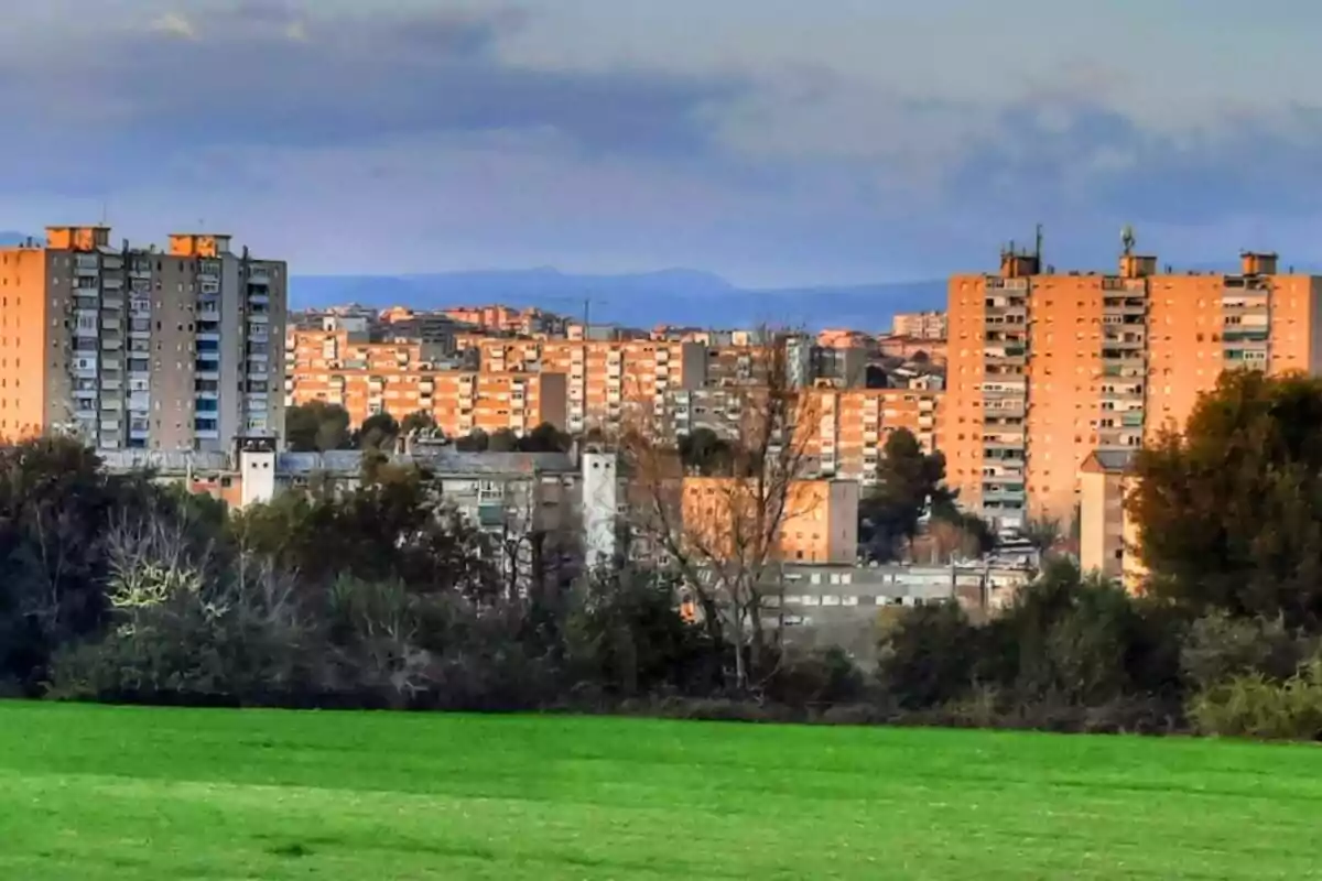 Edificios residenciales altos al fondo con fachadas anaranjadas iluminadas por el sol y un campo verde en primer plano rodeado de árboles