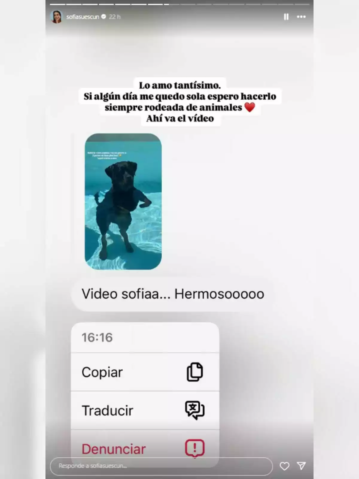 Historia de Instagram de Sofía Suescun donde se muestra un mensaje que contiene un video de un perro nadando en una piscina y un texto expresando amor por los animales. Historia de Instagram de Sofía Suescun donde se muestra un mensaje que contiene un video de un perro nadando en una piscina y un texto expresando amor por los animales.
