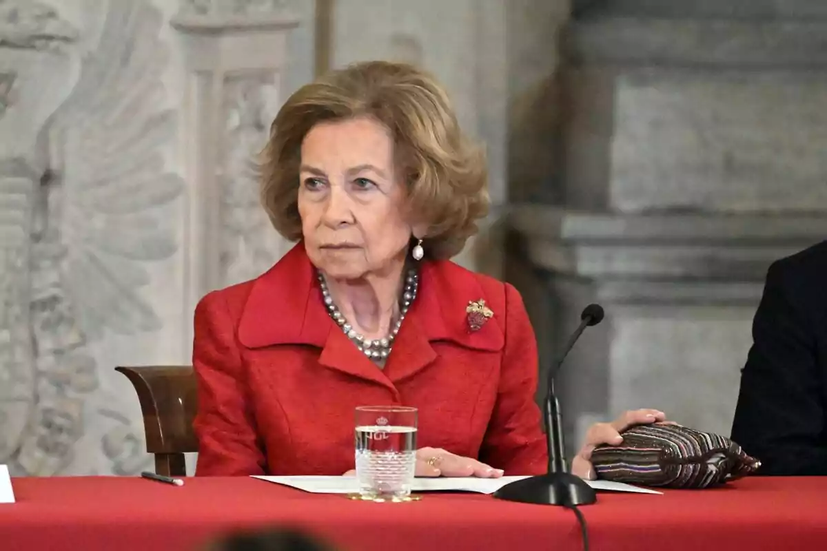 Dona gran amb cabell ros i roba vermella asseguda en una taula amb un got d’aigua i un micròfon davant seu Dona gran amb cabell ros i roba vermella asseguda en una taula amb un got d’aigua i un micròfon davant seu