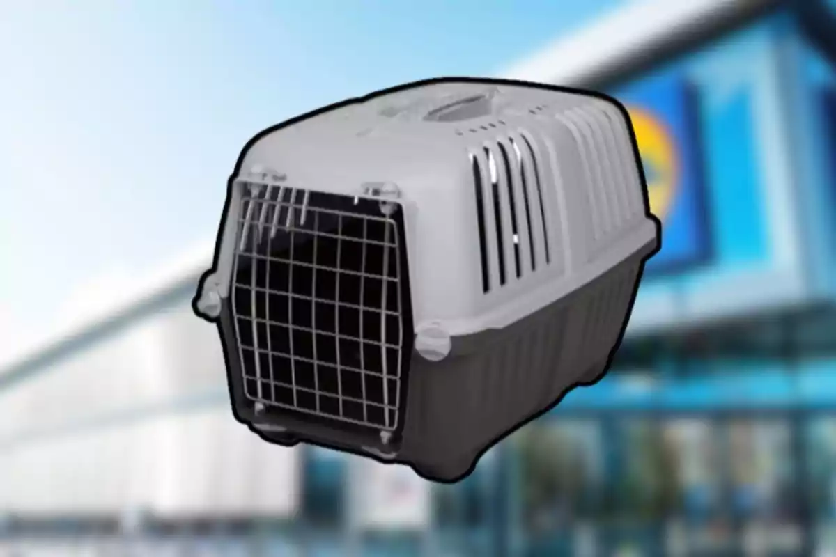 Transportadora de plàstic gris i negre per a mascotes amb porta de reixeta metàl·lica davant d’un edifici desenfocat. Transportadora de plàstic gris i negre per a mascotes amb porta de reixeta metàl·lica davant d’un edifici desenfocat.