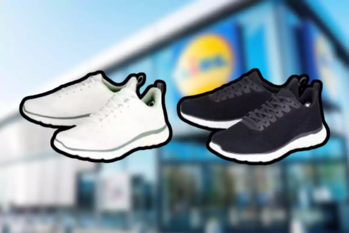 Dos parells de vambes esportives de color blanc i negre davant d’una botiga amb el logotip de Lidl desenfocat al fons Dos parells de vambes esportives de color blanc i negre davant d’una botiga amb el logotip de Lidl desenfocat al fons