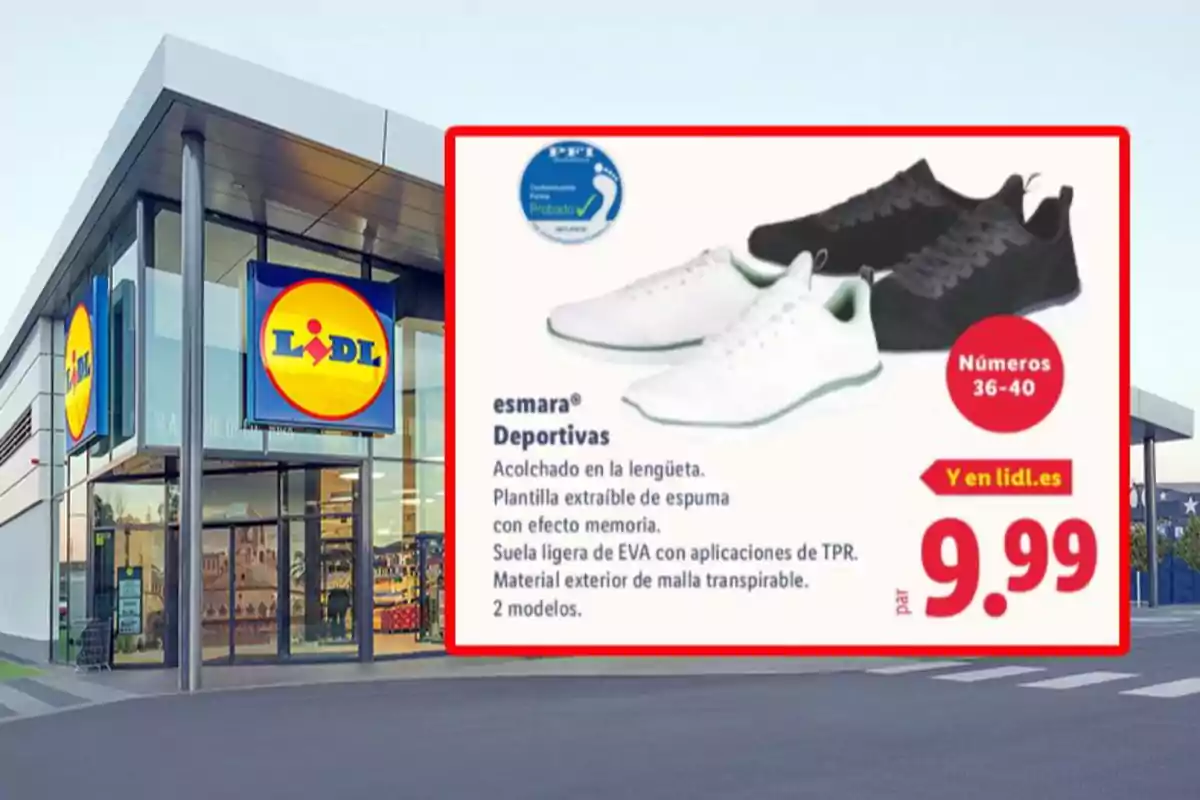 Botiga Lidl amb un cartell promocional de sabatilles esportives Esmara en colors blanc i negre, disponibles en talles del 36 al 40 per 9,99 euros. Botiga Lidl amb un cartell promocional de sabatilles esportives Esmara en colors blanc i negre, disponibles en talles del 36 al 40 per 9,99 euros.