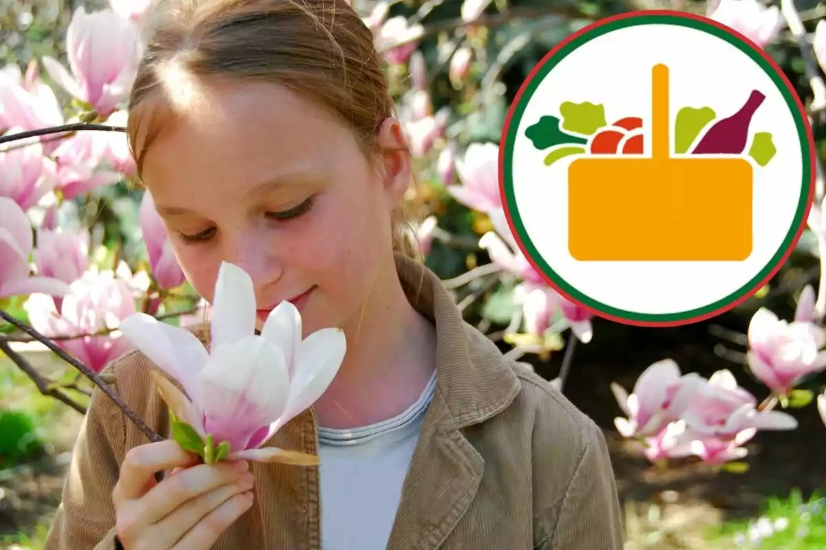 Nena olorant una flor de magnòlia amb un fons de flors roses i un gràfic d’una cistella d’aliments a la cantonada superior dreta Nena olorant una flor de magnòlia amb un fons de flors roses i un gràfic d’una cistella d’aliments a la cantonada superior dreta