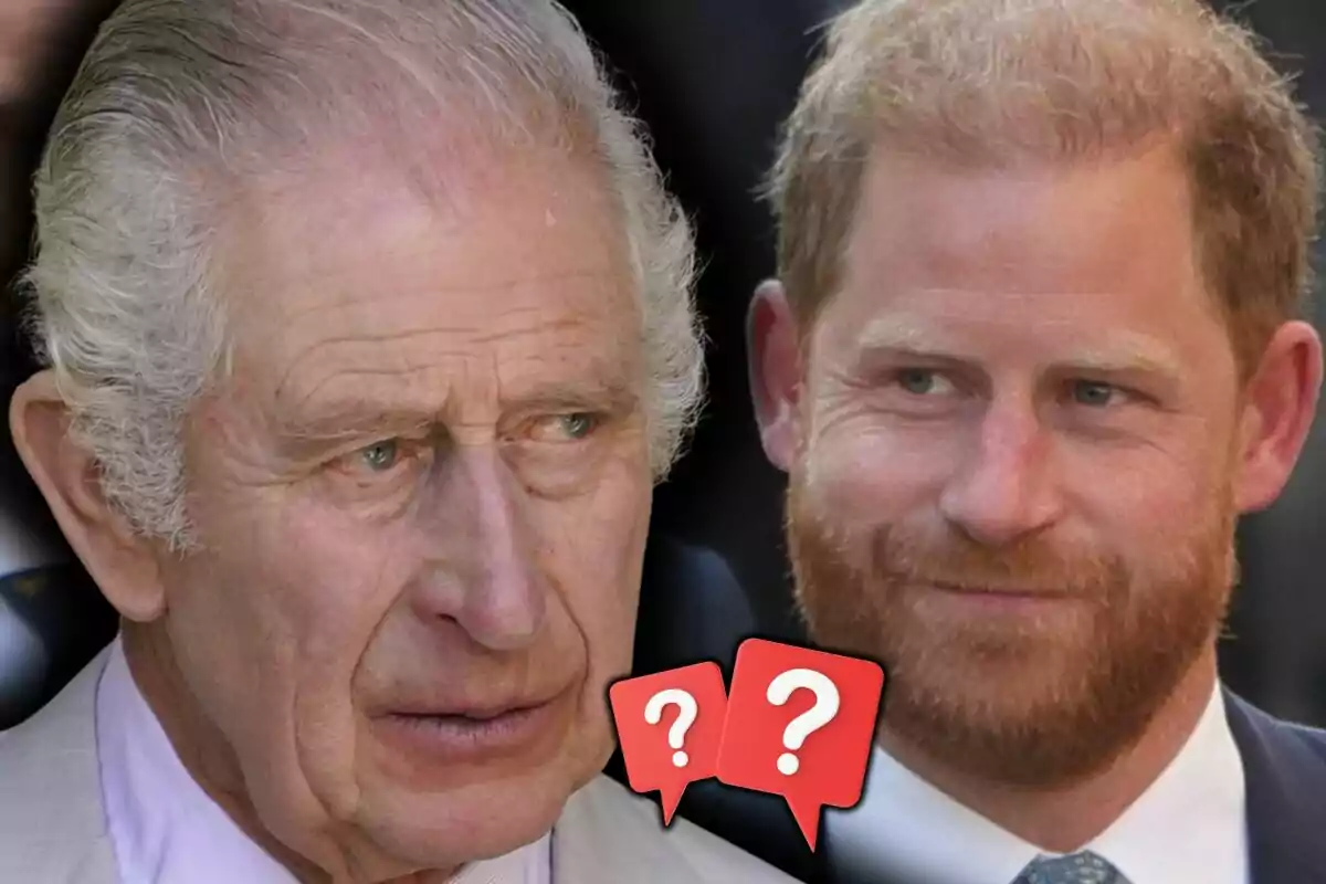 Photo montage of two men, Prince Harry and Charles III, looking at each other with serious expressions and two question mark icons between them.