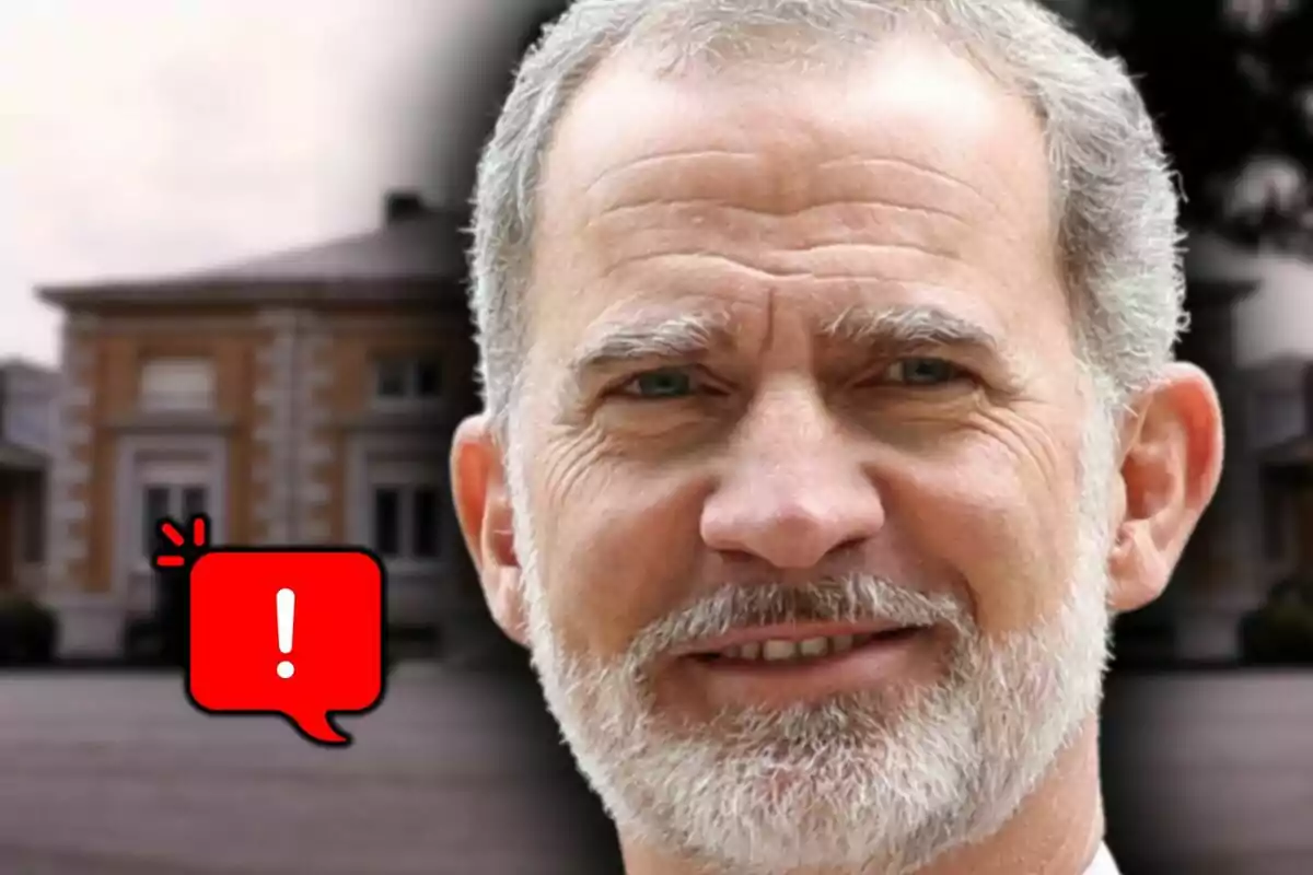 Photo montage of King Felipe VI smiling in the foreground with the Zarzuela Palace in the background and a red warning icon.