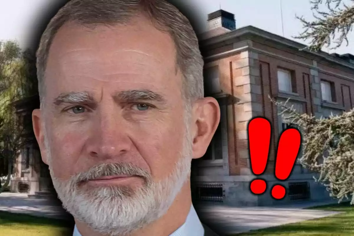 Close-up of King Felipe of Bourbon with a serious expression in front of a brick building and two red exclamation marks.