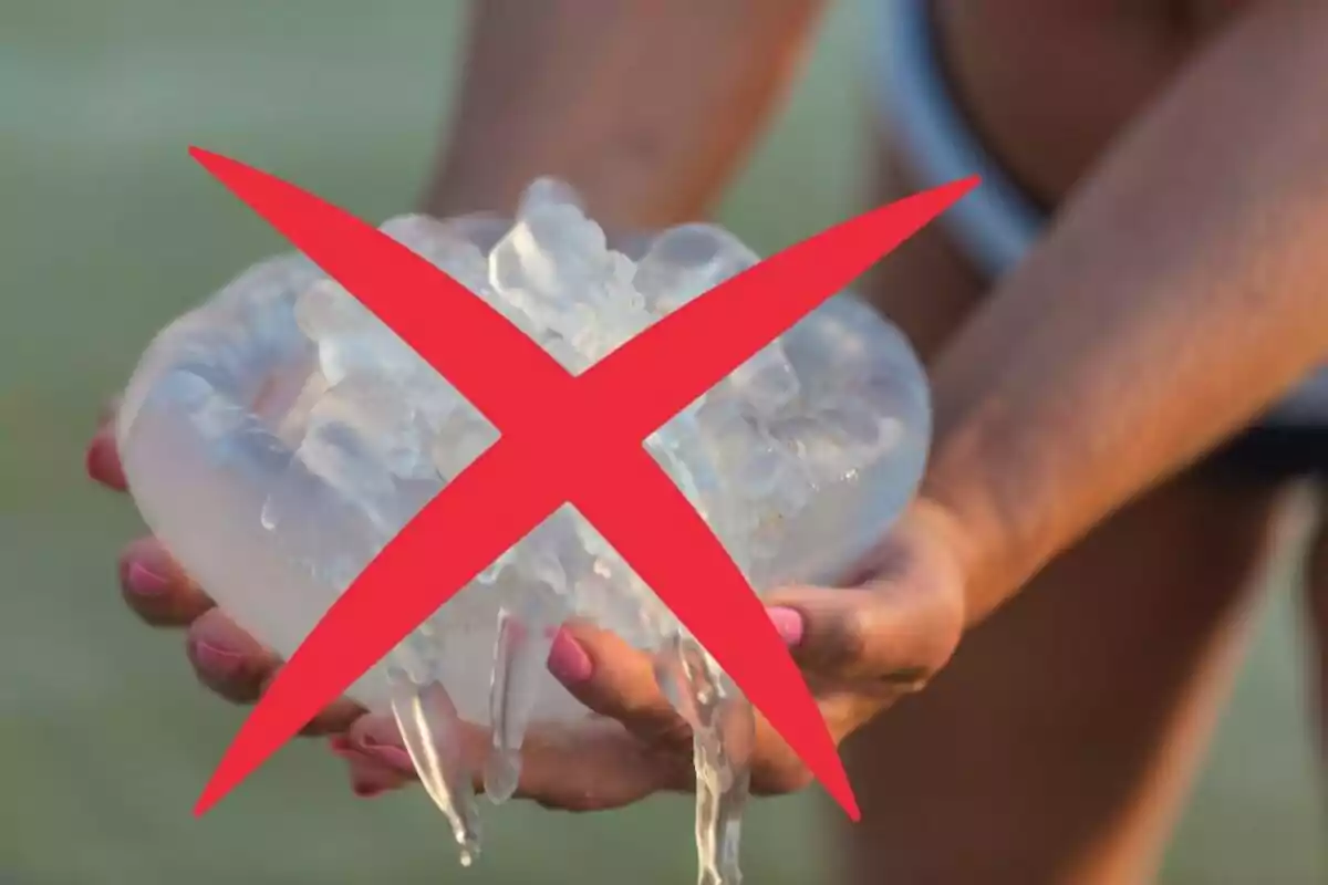 Person holding a jellyfish with a large red X over the image indicating that it should not be touched Person holding a jellyfish with a large red X over the image indicating that it should not be touched
