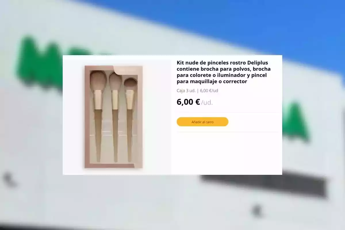 Kit de tres pinzells de maquillatge Deliplus en tons nude amb descripció i preu de 6 euros en una botiga en línia Kit de tres pinzells de maquillatge Deliplus en tons nude amb descripció i preu de 6 euros en una botiga en línia