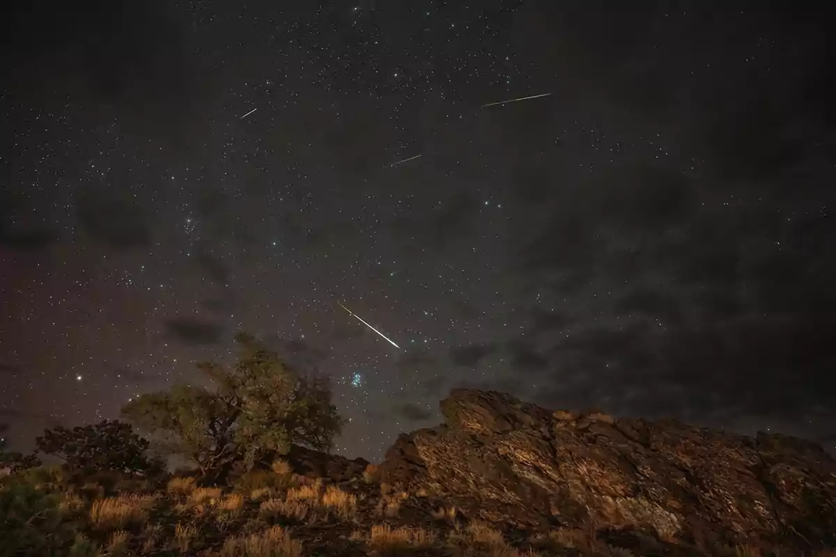 Cel nocturn amb diverses estrelles fugaces sobre un paisatge rocós i arbres secs Cel nocturn amb diverses estrelles fugaces sobre un paisatge rocós i arbres secs