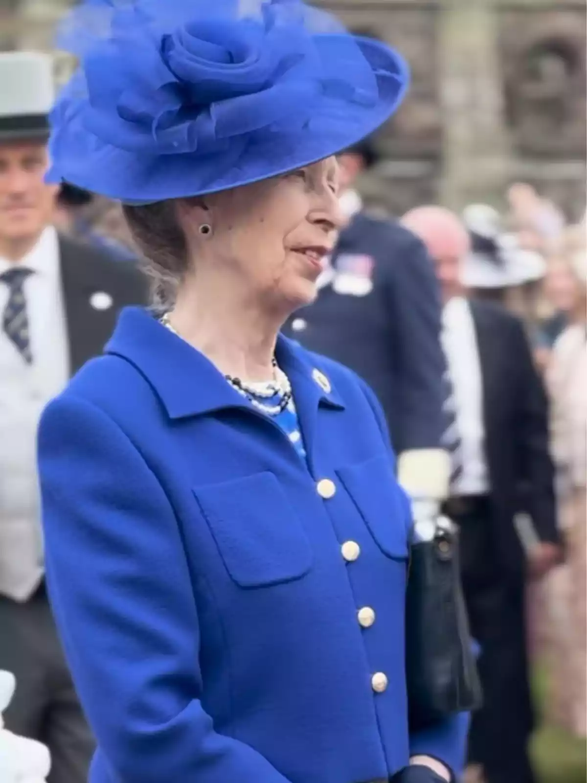 Dona gran vestida amb un conjunt blau i un barret a joc en un esdeveniment formal a l’aire lliure envoltada d’altres persones elegantment vestides Dona gran vestida amb un conjunt blau i un barret a joc en un esdeveniment formal a l’aire lliure envoltada d’altres persones elegantment vestides