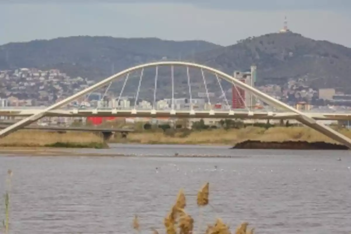 Pont modern d’arc blanc sobre un riu amb muntanyes i ciutat al fons Pont modern d’arc blanc sobre un riu amb muntanyes i ciutat al fons