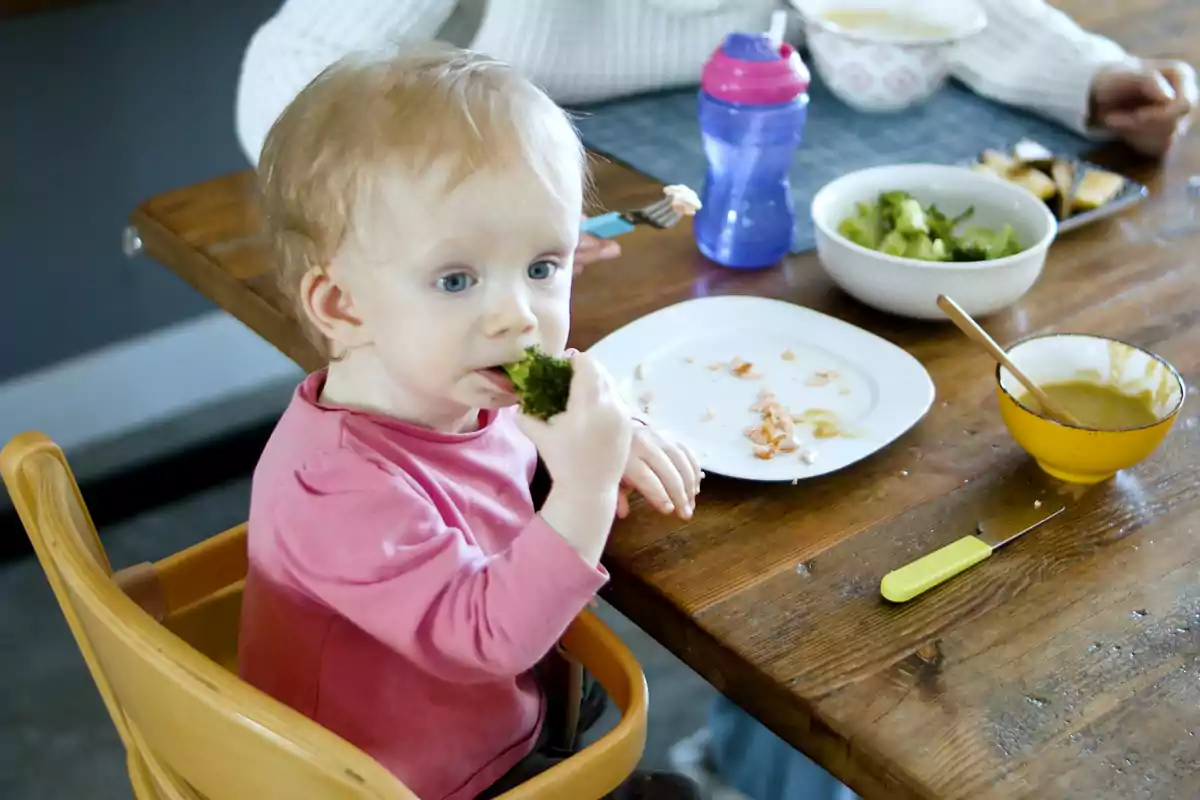 Baby sitting in a high chair eating broccoli at the table next to plates and a sippy cup Baby sitting in a high chair eating broccoli at the table next to plates and a sippy cup