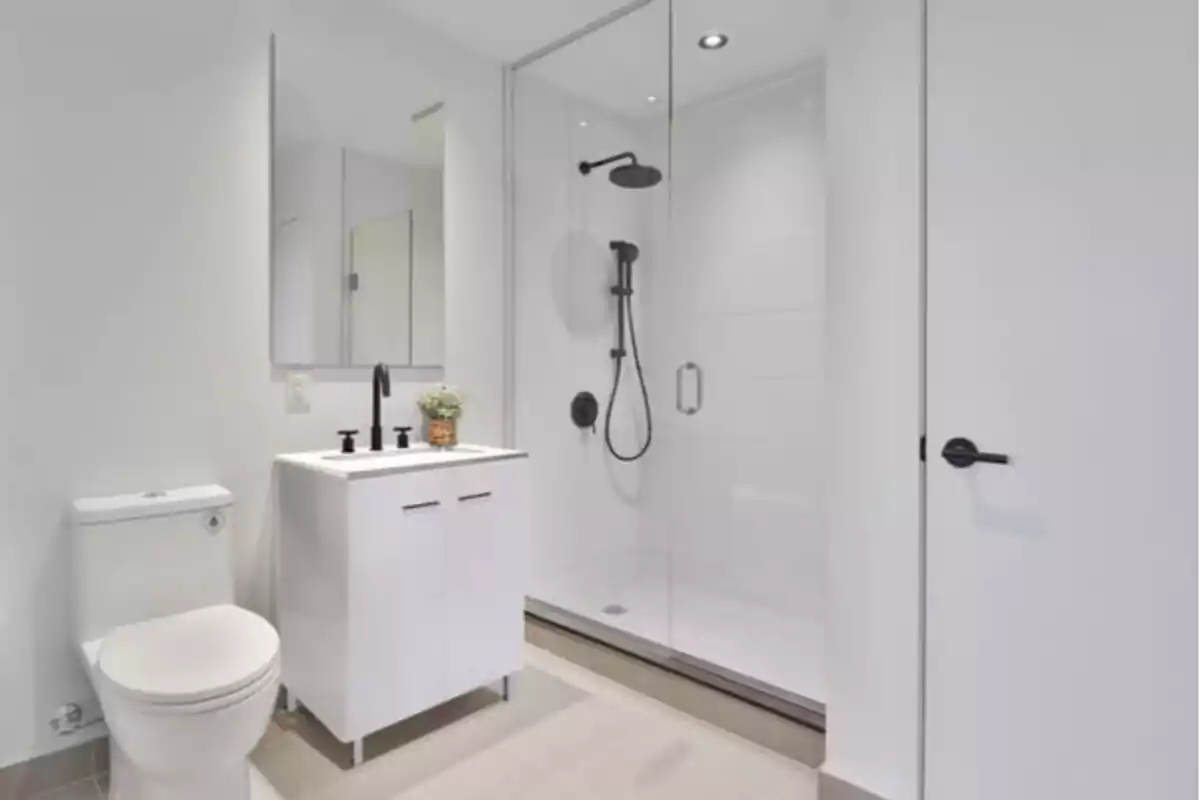 Bany modern amb parets blanques, vàter, lavabo amb aixeta negra, mirall, planta decorativa i dutxa amb mampara de vidre Bany modern amb parets blanques, vàter, lavabo amb aixeta negra, mirall, planta decorativa i dutxa amb mampara de vidre