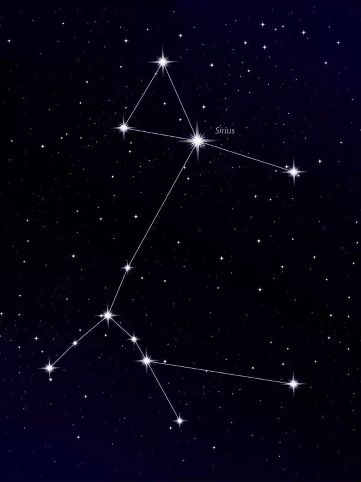 Constellation of stars in the night sky with lines connecting the dots to form the figure of Canis Major and the star Sirius highlighted Constellation of stars in the night sky with lines connecting the dots to form the figure of Canis Major and the star Sirius highlighted