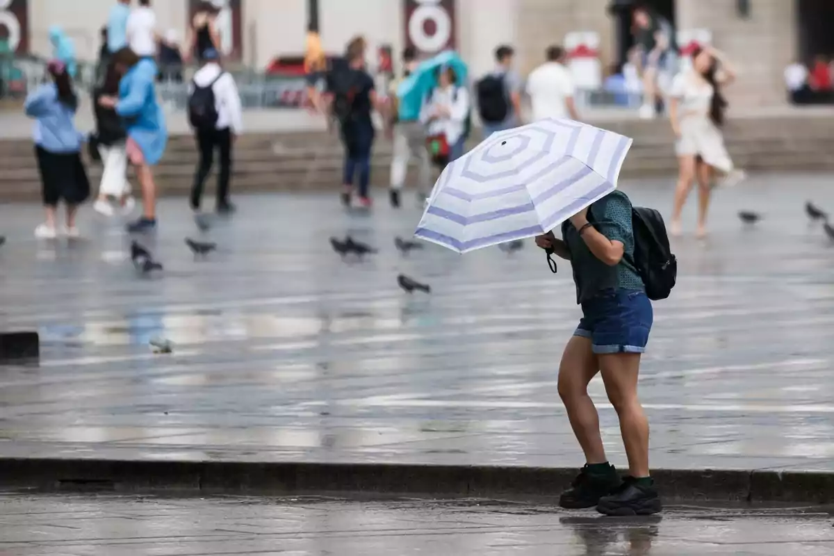 Persona con paraguas blanco y morado caminando por una plaza mojada mientras otras personas y palomas están al fondo Persona con paraguas blanco y morado caminando por una plaza mojada mientras otras personas y palomas están al fondo
