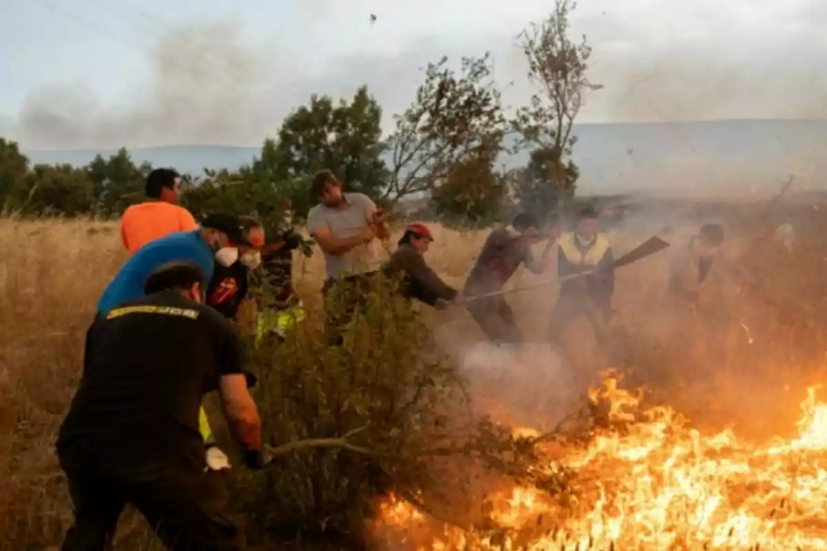 Varias personas luchan contra un incendio forestal usando ramas y herramientas improvisadas en un campo seco mientras el fuego avanza rápidamente. Varias personas luchan contra un incendio forestal usando ramas y herramientas improvisadas en un campo seco mientras el fuego avanza rápidamente.