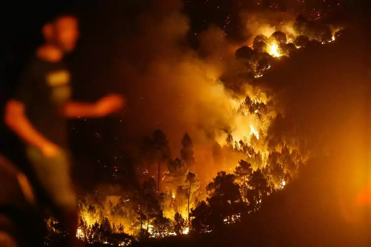Incendio forestal de gran magnitud en una zona boscosa durante la noche con una persona desenfocada en primer plano Incendio forestal de gran magnitud en una zona boscosa durante la noche con una persona desenfocada en primer plano