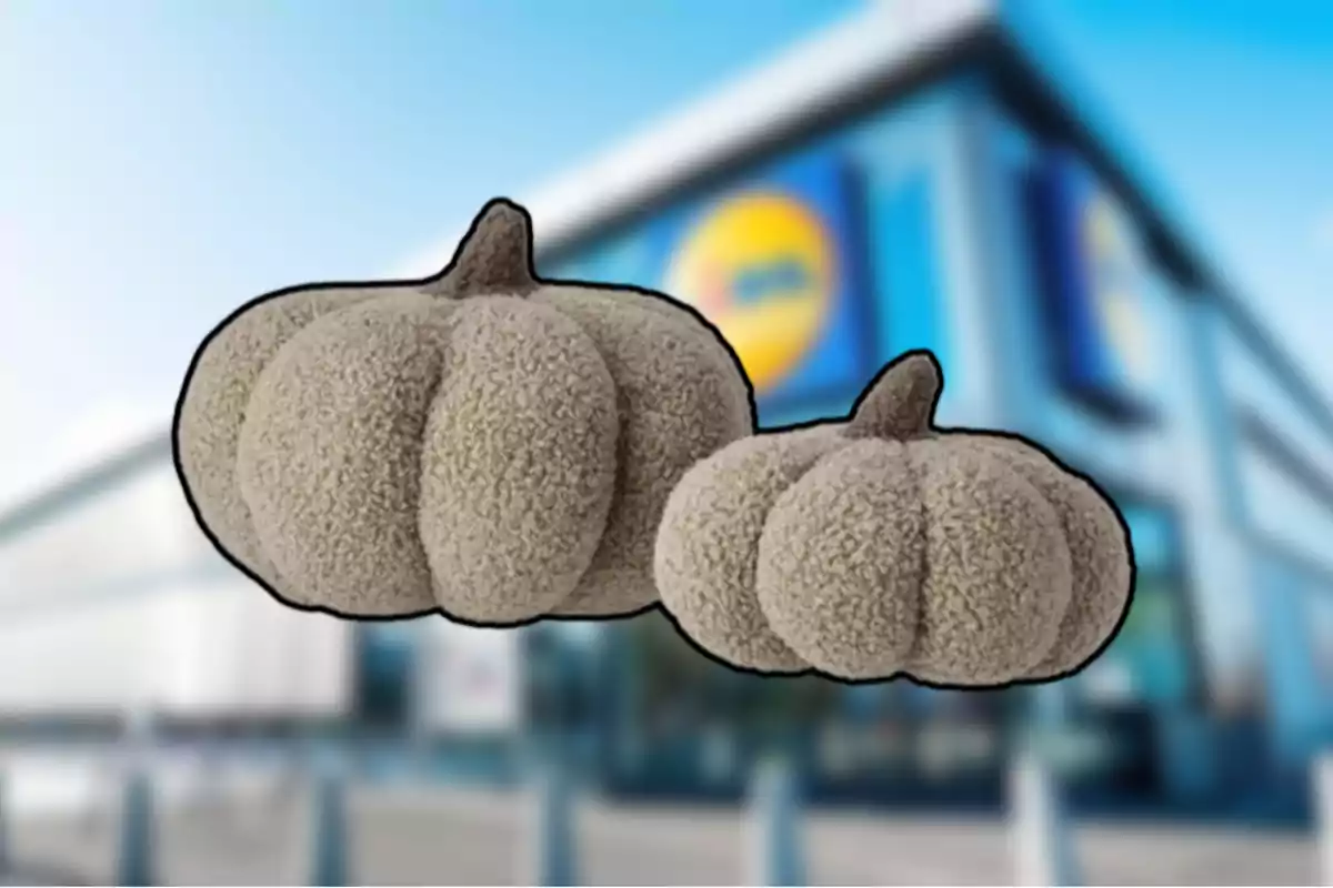 Dues carabasses decoratives de peluix en tons beix davant d’una botiga amb el logotip de Lidl desenfocat al fons Dues carabasses decoratives de peluix en tons beix davant d’una botiga amb el logotip de Lidl desenfocat al fons