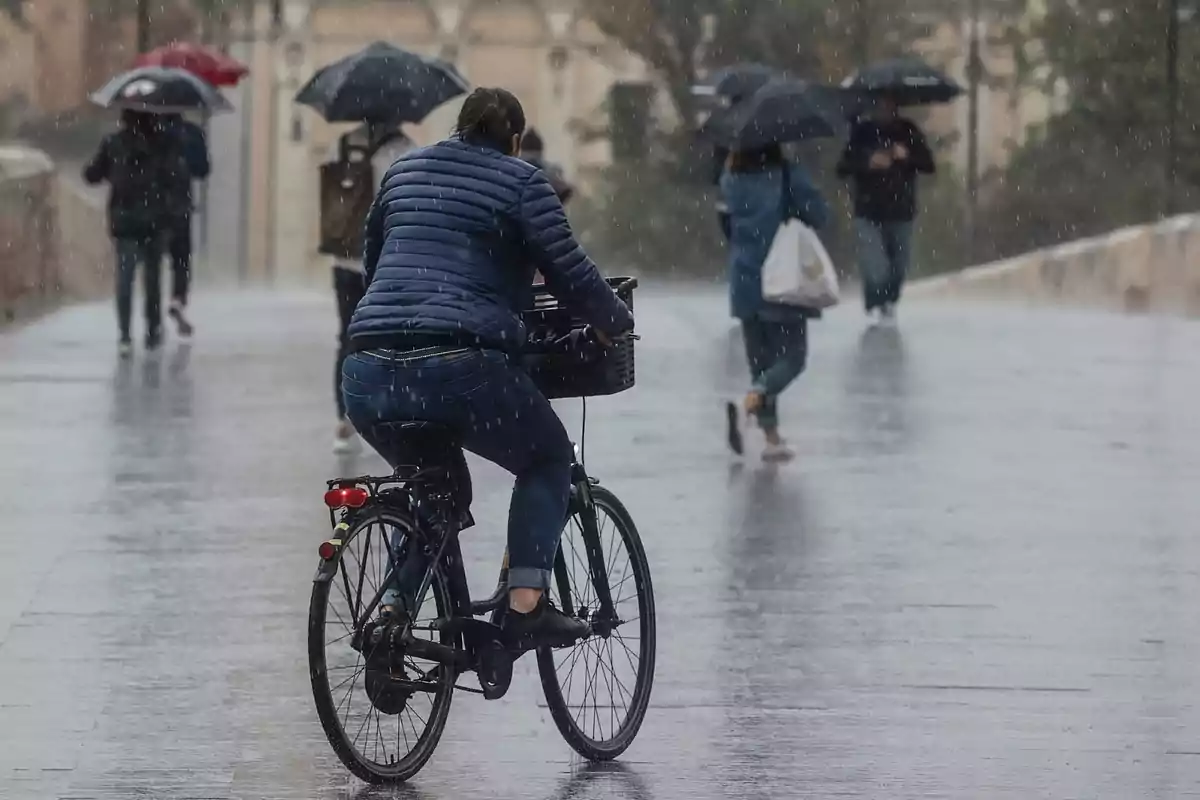 Persona en bicicleta i diverses persones caminant sota la pluja amb paraigües en un carrer mullat Persona en bicicleta i diverses persones caminant sota la pluja amb paraigües en un carrer mullat