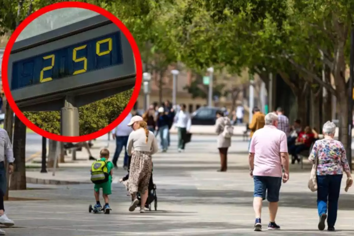 Persones caminant per un carrer arbrat durant un dia assolellat amb una temperatura de 25 graus mostrada en un termòmetre digital Persones caminant per un carrer arbrat durant un dia assolellat amb una temperatura de 25 graus mostrada en un termòmetre digital