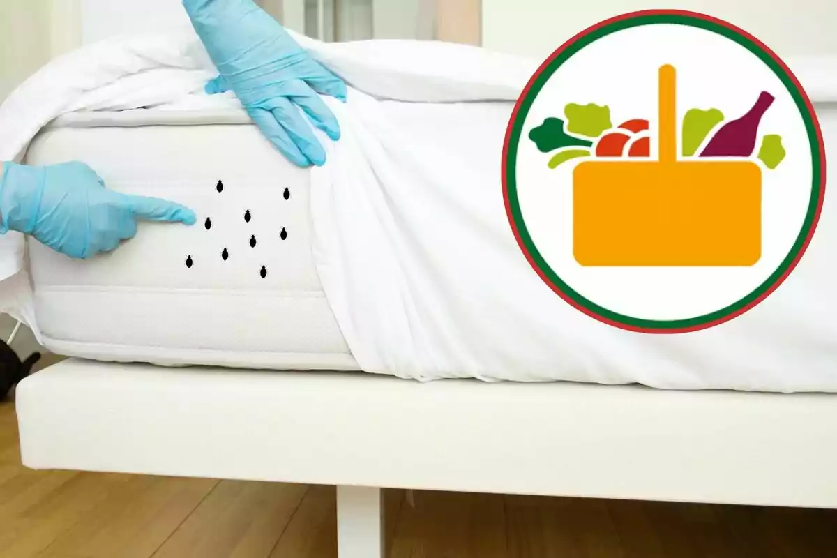 Manos con guantes azules revisan un colchón con manchas negras mientras aparece un icono de canasta de supermercado con alimentos