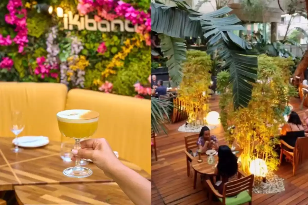 Persona sosteniendo un cóctel en un restaurante con decoración de plantas y flores, junto a una terraza con mesas de madera y ambiente natural Persona sosteniendo un cóctel en un restaurante con decoración de plantas y flores, junto a una terraza con mesas de madera y ambiente natural