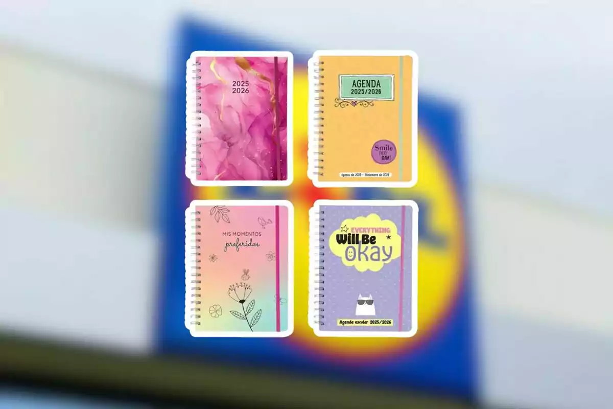 Quatre agendes escolars amb diferents dissenys colorits i frases motivacionals sobre un fons desenfocat Quatre agendes escolars amb diferents dissenys colorits i frases motivacionals sobre un fons desenfocat