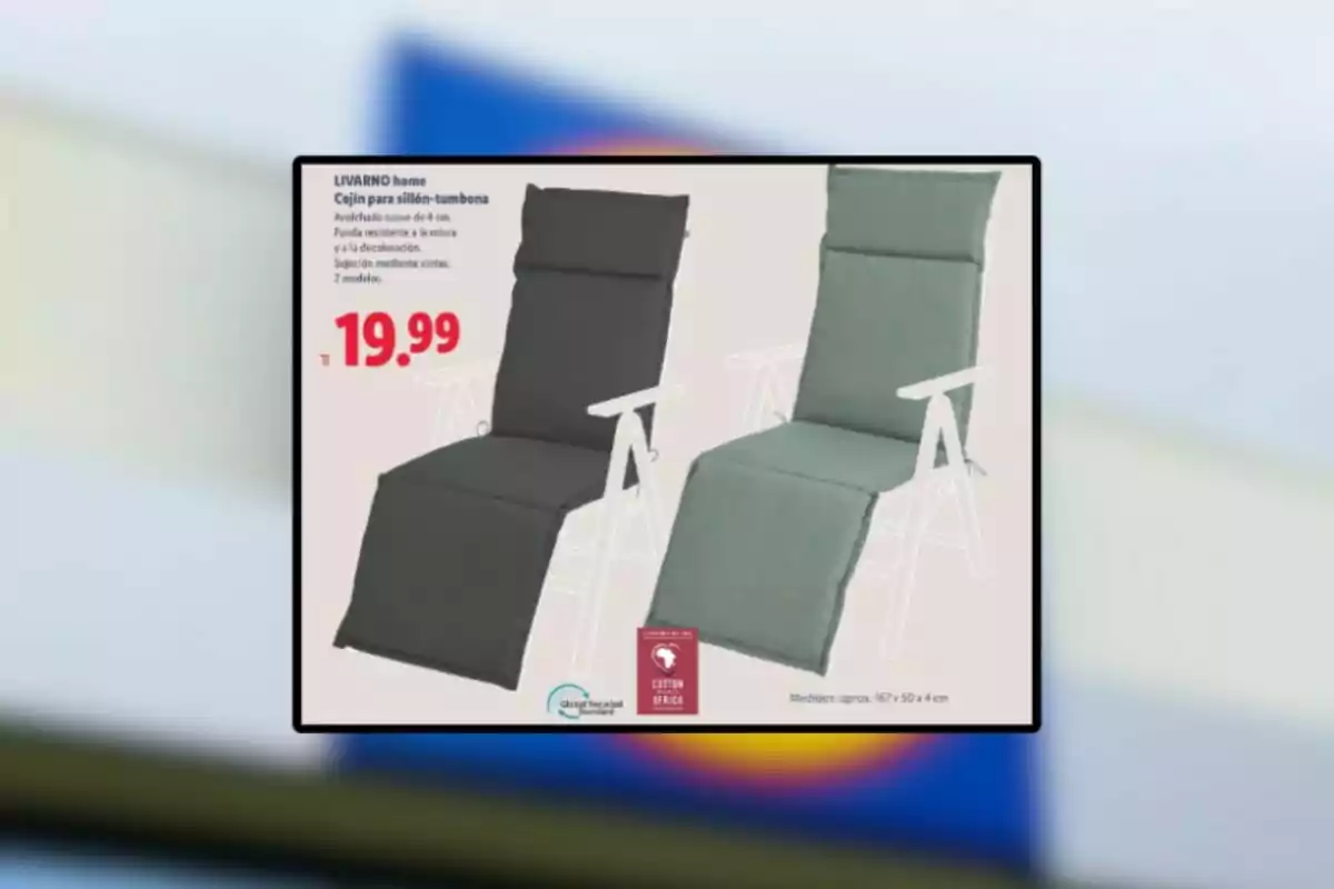Publicitat de coixins per a butaca tipus gandula en dos colors diferents amb un preu de 19,99 euros Publicitat de coixins per a butaca tipus gandula en dos colors diferents amb un preu de 19,99 euros