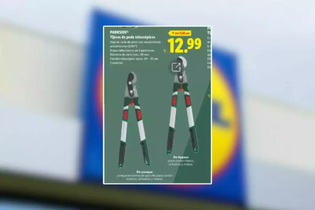 Publicidad de tijeras de poda telescópicas Parkside con precio de 12.99 euros sobre un fondo borroso de una tienda Lidl Publicidad de tijeras de poda telescópicas Parkside con precio de 12.99 euros sobre un fondo borroso de una tienda Lidl