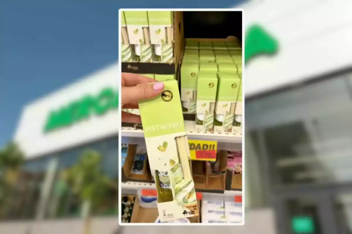 Persona sostenint una capsa de difusor aromàtic de festuc en una botiga amb diverses capses iguals a l'estant.