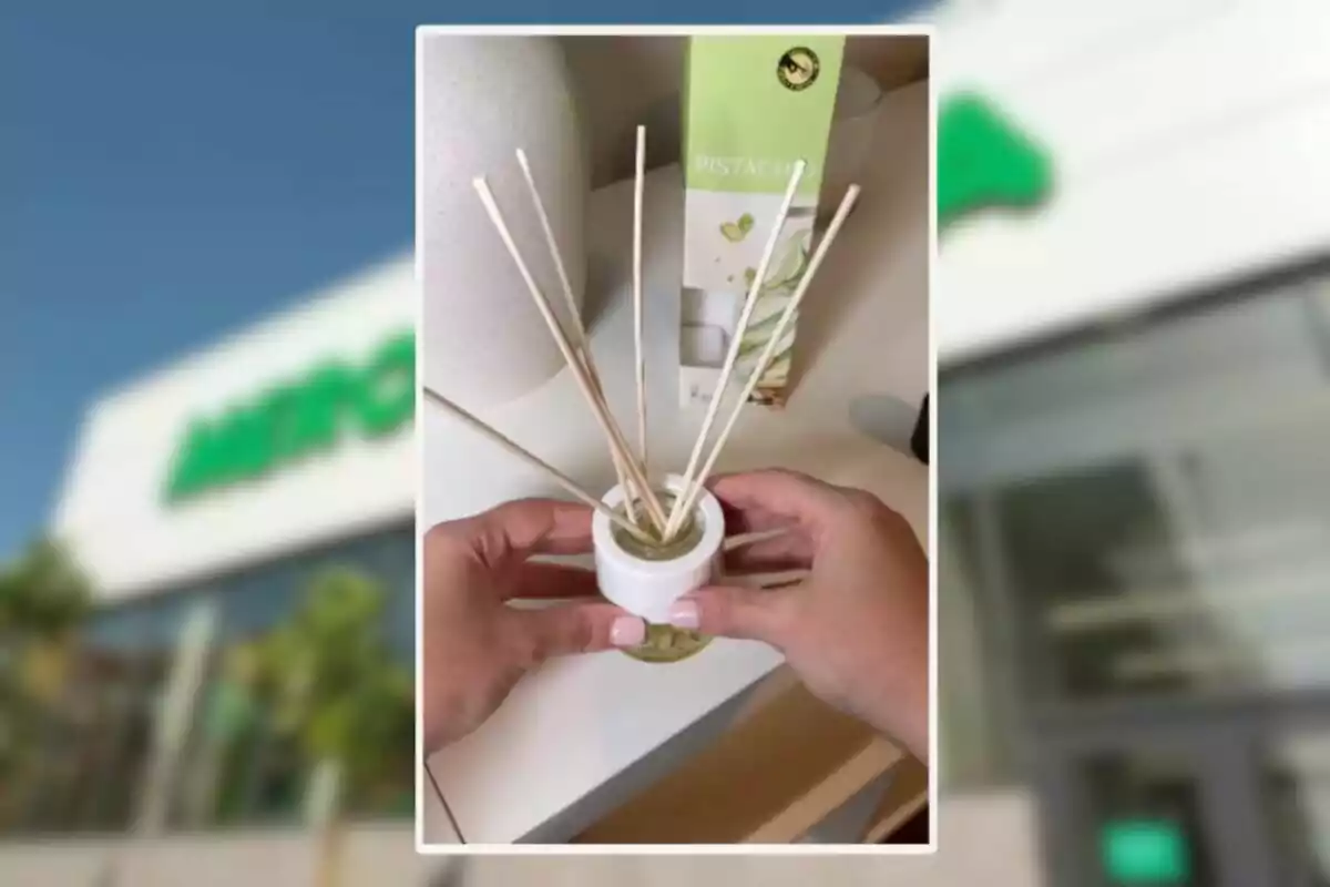 Mans sostenint un difusor de varetes amb aroma de festuc sobre una taula blanca