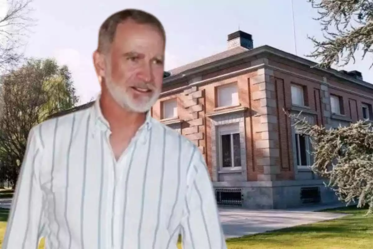 Montaje con el rey Felipe VI, de barba canosa con camisa de rayas, y el Palacio de la Zarzuela de fondo