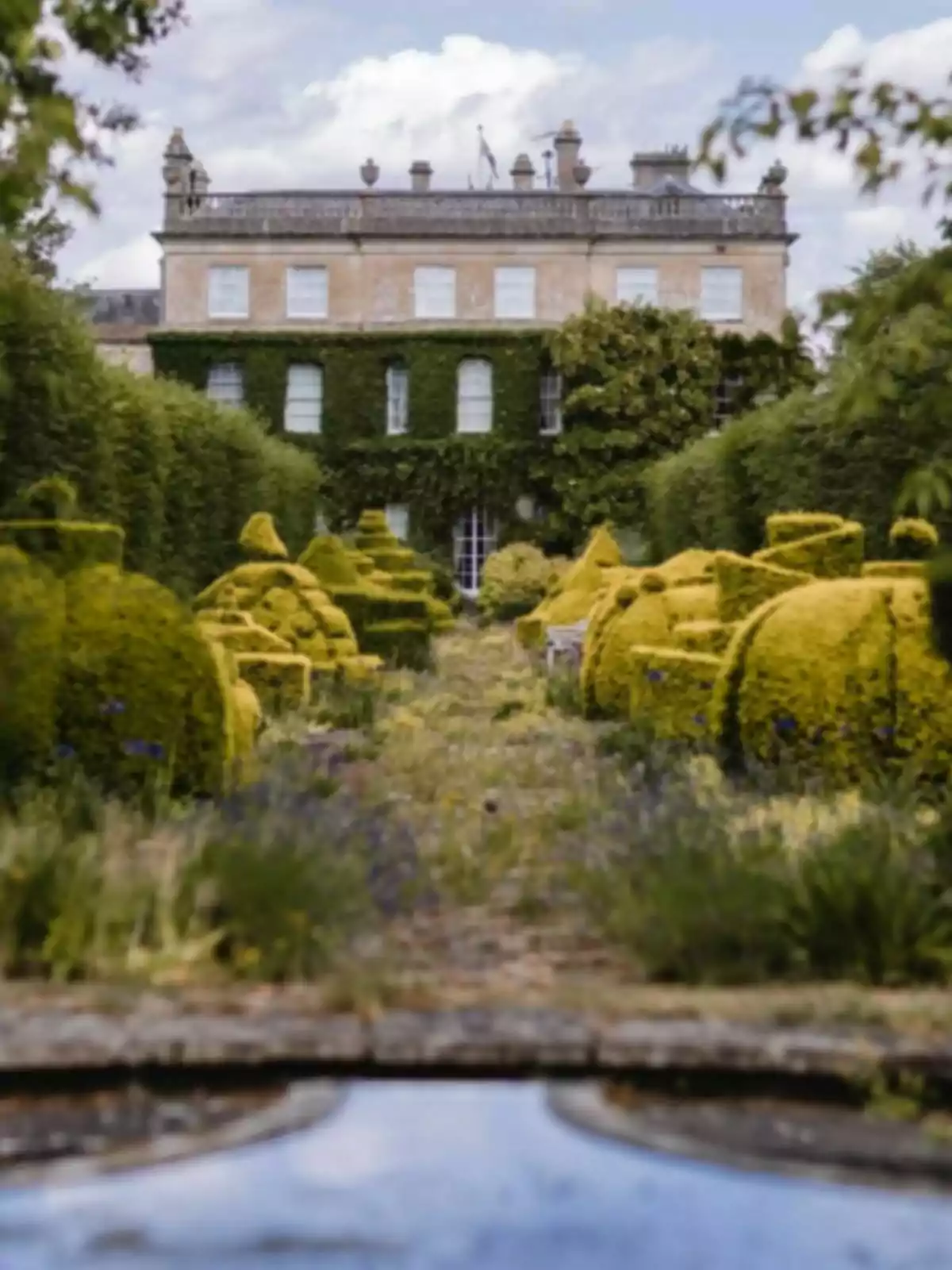 Garden with trimmed shrubs and a large old house in the background partially covered with ivy Garden with trimmed shrubs and a large old house in the background partially covered with ivy