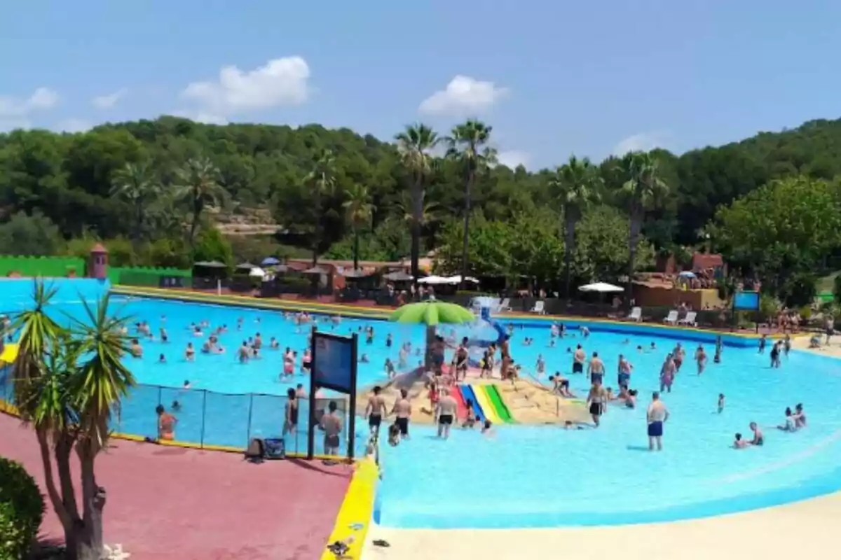 Personas disfrutando de una gran piscina al aire libre rodeada de árboles y palmeras en un día soleado Personas disfrutando de una gran piscina al aire libre rodeada de árboles y palmeras en un día soleado