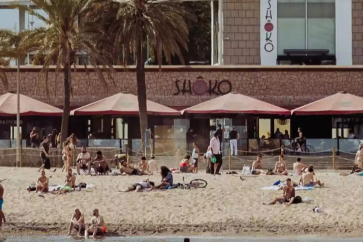 People enjoying a sunny day at the beach in front of a restaurant with red awnings and palm trees People enjoying a sunny day at the beach in front of a restaurant with red awnings and palm trees