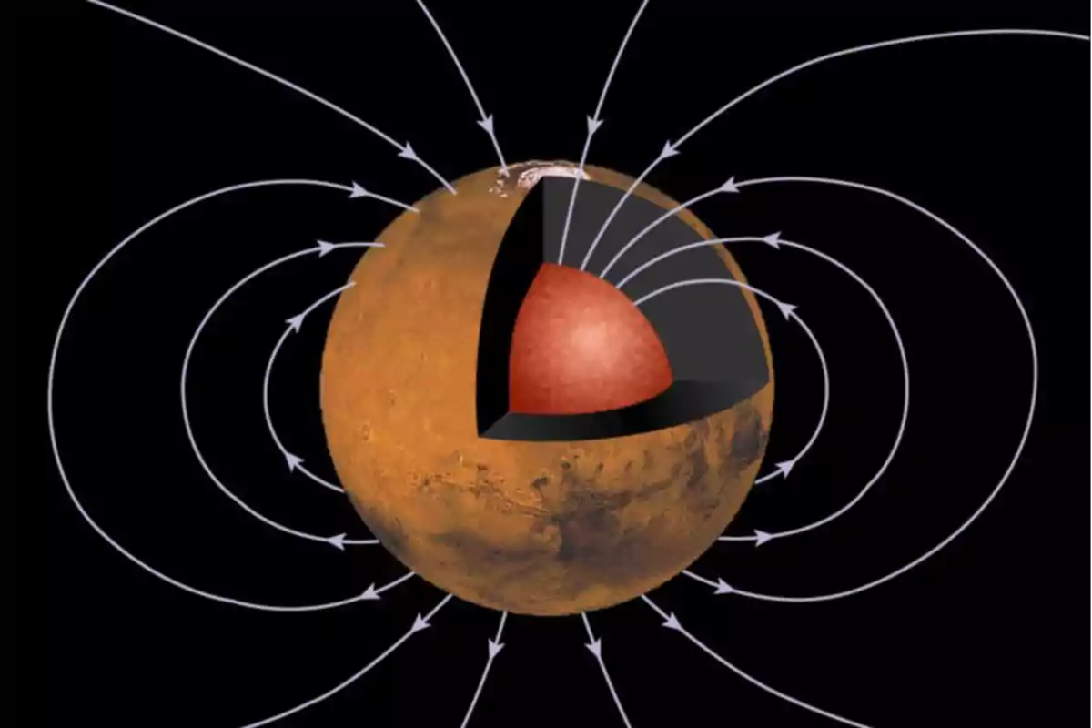 Il·lustració de Mart amb una secció transversal que mostra el seu nucli i línies que representen el camp magnètic al voltant del planeta Il·lustració de Mart amb una secció transversal que mostra el seu nucli i línies que representen el camp magnètic al voltant del planeta