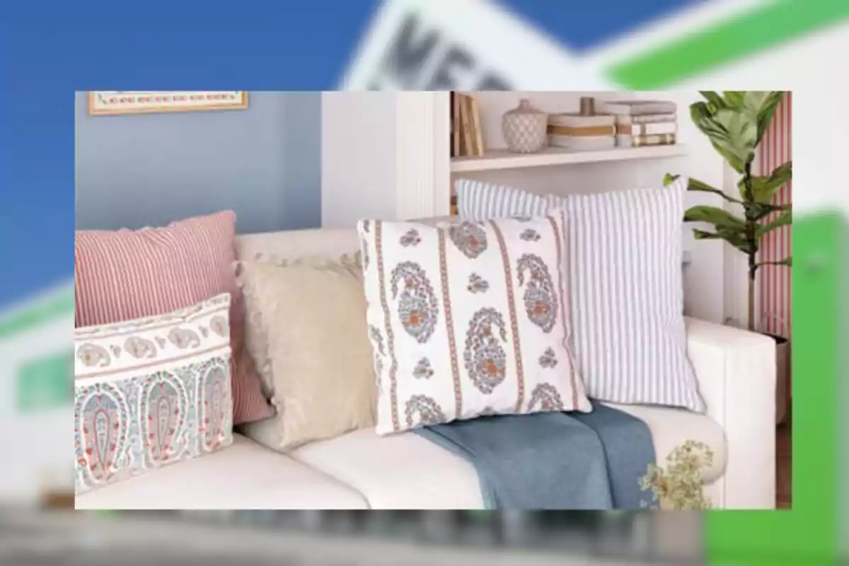 Sofà blanc decorat amb coixins de diferents colors i estampats al costat d’una manta blava i una planta al fons