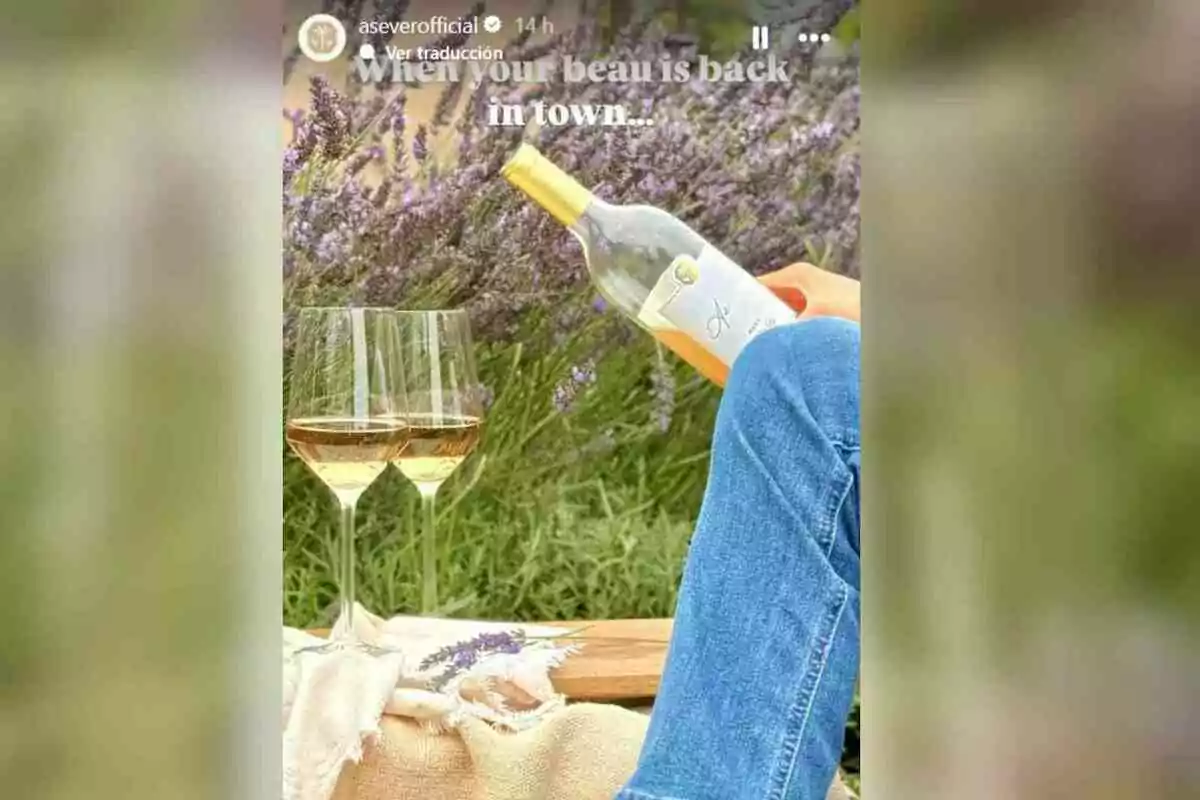 Persona asseguda en un pícnic a l’aire lliure amb dues copes de vi rosat i una ampolla, envoltada de lavanda i gespa. Persona asseguda en un pícnic a l’aire lliure amb dues copes de vi rosat i una ampolla, envoltada de lavanda i gespa.