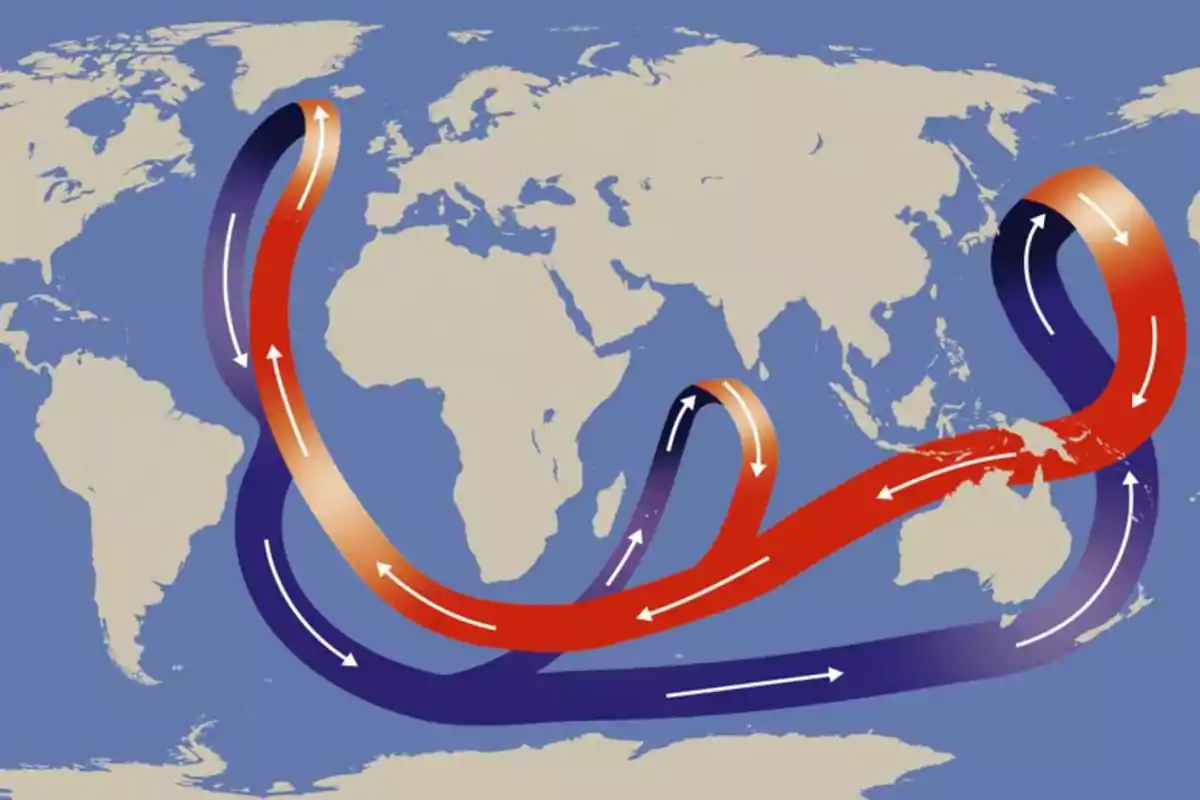 Mapa del mundo con una cinta de colores rojo y azul que representa las corrientes oceánicas globales y su circulación Mapa del mundo con una cinta de colores rojo y azul que representa las corrientes oceánicas globales y su circulación