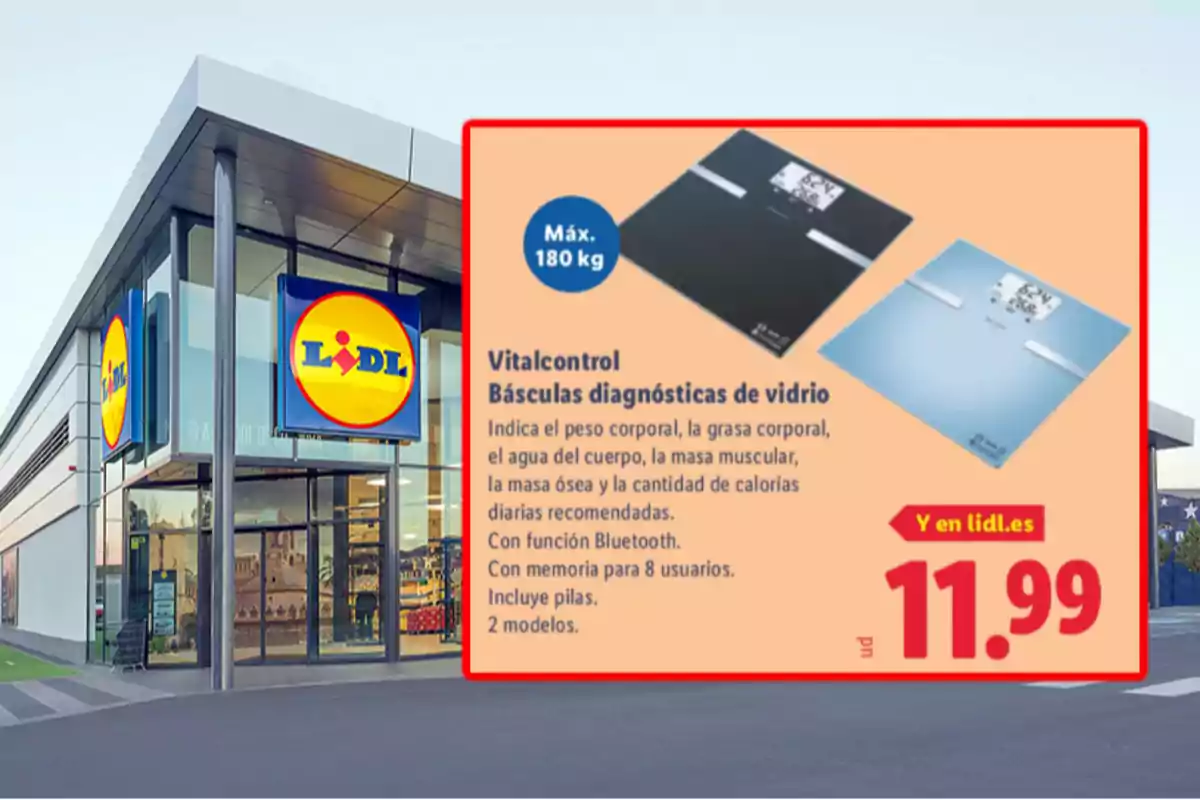 Façana d’una botiga Lidl amb un anunci de bàscules diagnòstiques de vidre Vitalcontrol en oferta per 11,99 euros que mostra dos models i les seves característiques principals Façana d’una botiga Lidl amb un anunci de bàscules diagnòstiques de vidre Vitalcontrol en oferta per 11,99 euros que mostra dos models i les seves característiques principals