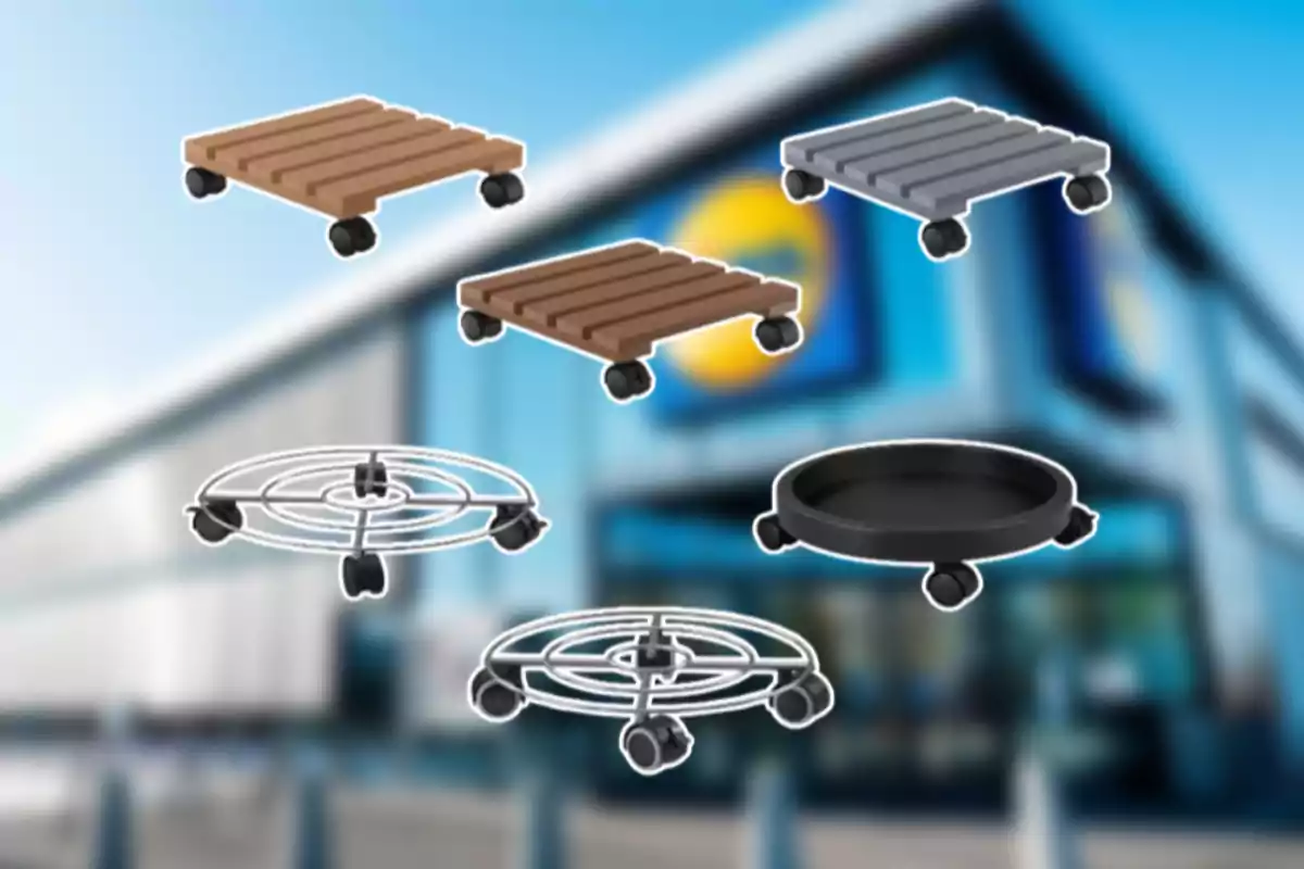 Sis bases amb rodes per a testos de diferents formes i materials sobre un fons borros d’una botiga. Sis bases amb rodes per a testos de diferents formes i materials sobre un fons borros d’una botiga.