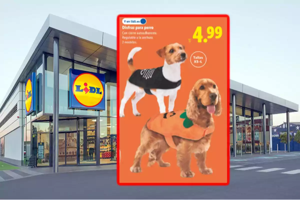 Botiga Lidl amb un cartell promocional de disfresses per a gos que mostra dos gossos vestits amb disfresses d’esquelet i de carbassa i el preu destacat Botiga Lidl amb un cartell promocional de disfresses per a gos que mostra dos gossos vestits amb disfresses d’esquelet i de carbassa i el preu destacat