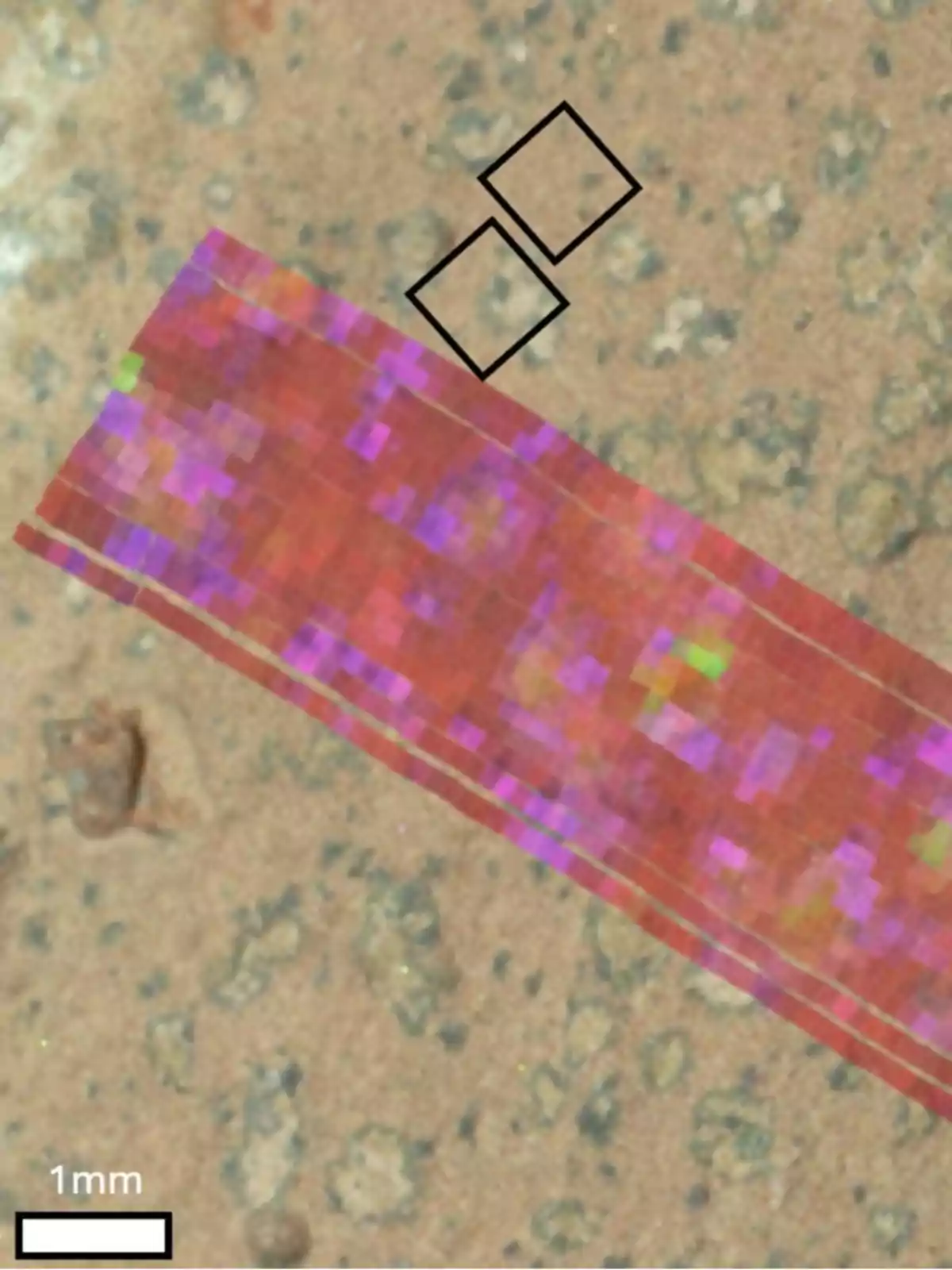 Image of a mineral map on an earthy Martian surface with gray spots and a rectangular pixelated bar in shades of red and purple, accompanied by two black squares and a 1 mm scale in the lower left corner. Image of a mineral map on an earthy Martian surface with gray spots and a rectangular pixelated bar in shades of red and purple, accompanied by two black squares and a 1 mm scale in the lower left corner.