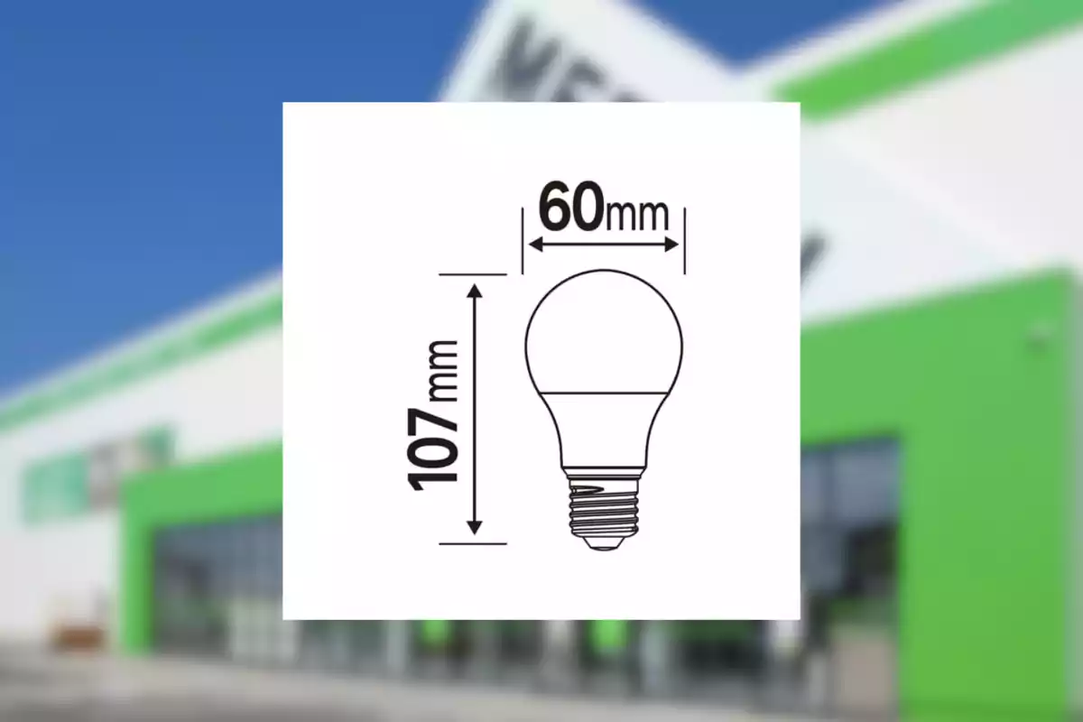 Dibuix d’un focus amb mesures de 107 mm d’alçada i 60 mm d’amplada sobre un fons borros d’una botiga amb detalls verds. Dibuix d’un focus amb mesures de 107 mm d’alçada i 60 mm d’amplada sobre un fons borros d’una botiga amb detalls verds.