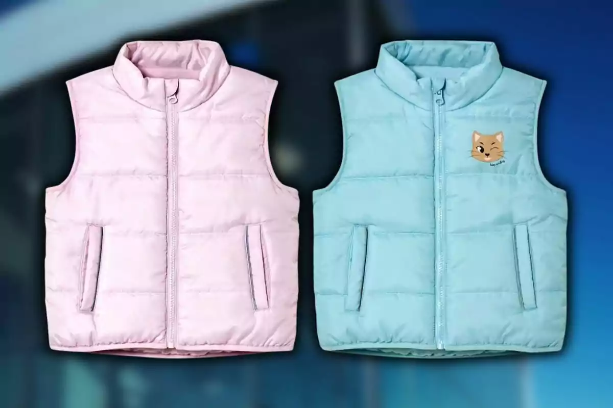 Dos armilles encoixinades per a nens, una de color rosa i una altra de color blau amb un dibuix d’un gat fent l’ullet al costat esquerre del pit; ambdues es venen a Lidl. Dos armilles encoixinades per a nens, una de color rosa i una altra de color blau amb un dibuix d’un gat fent l’ullet al costat esquerre del pit; ambdues es venen a Lidl.