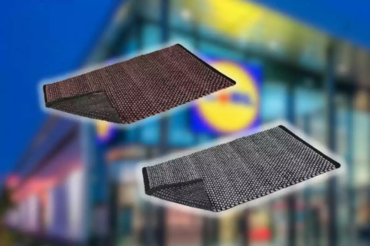 Dues catifes antilliscants de color marró i gris sobre un fons desenfocat d’una botiga