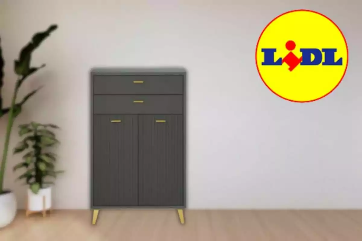 Moble fosc amb potes daurades al costat d’una planta en una habitació, amb el logotip de Lidl a la paret blanca