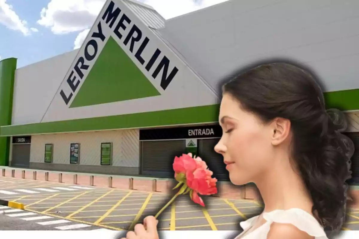 Una dona sosté i olora una flor davant l’entrada d’una botiga Leroy Merlin. Una dona sosté i olora una flor davant l’entrada d’una botiga Leroy Merlin.