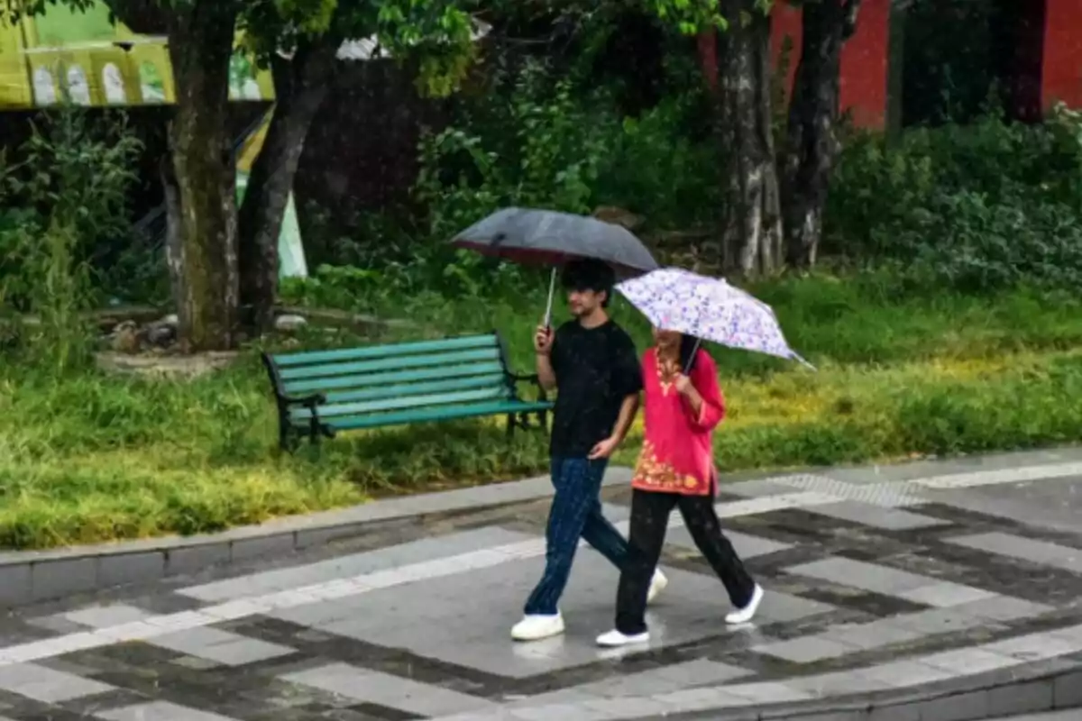 Dos personas caminan bajo la lluvia usando paraguas en un parque junto a una banca verde. Dos personas caminan bajo la lluvia usando paraguas en un parque junto a una banca verde.