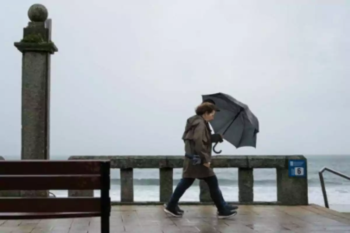 Mujer caminando junto al mar en un día lluvioso con un paraguas negro.